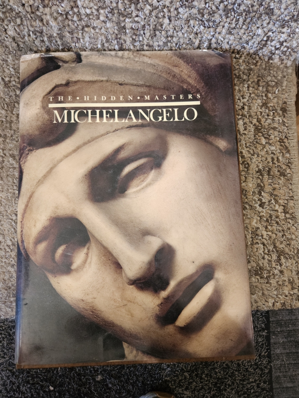 The Hidden Masters Michelangelo Book